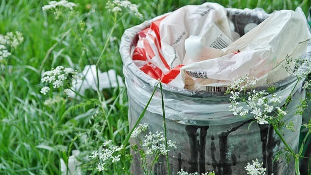 Comment mettre en place des stratégies zéro déchet efficaces